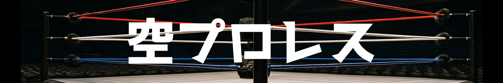 空プロレス WWE試合結果